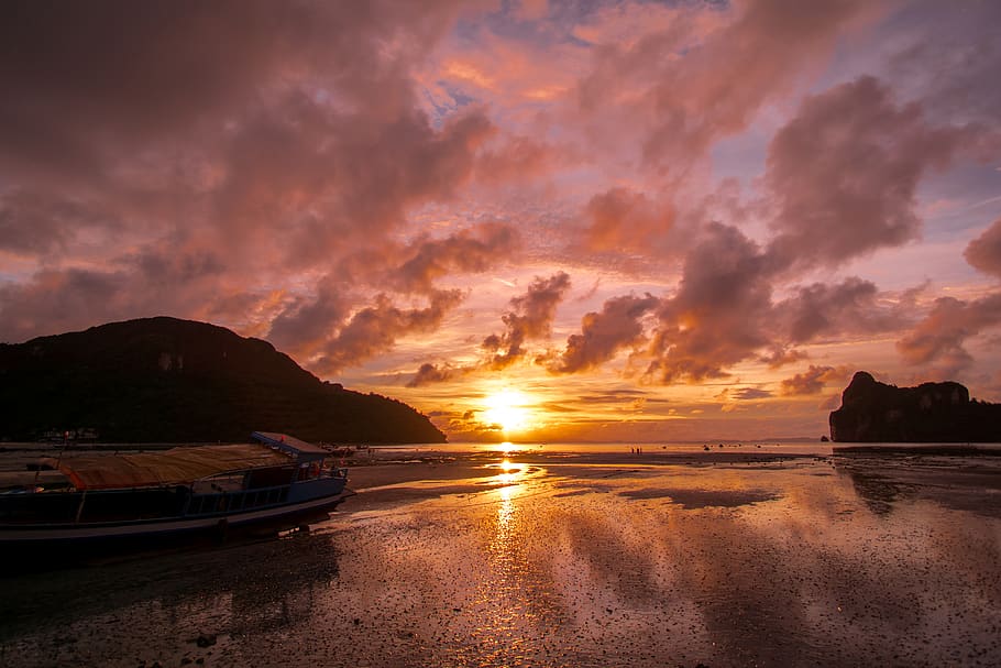 thailand, phi phi island, beached, sky, pink, pink clouds, crabs HD wallpaper