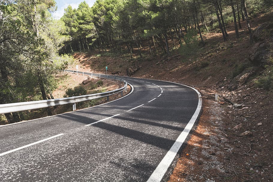 asphalt road between trees during daytime, tarmac, highway, nature HD wallpaper