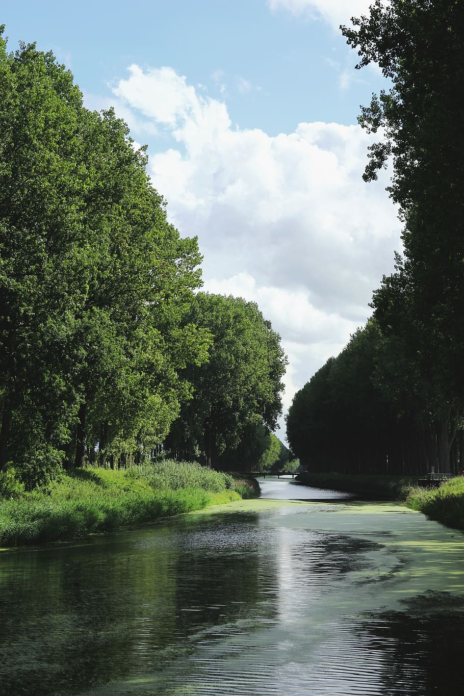 water, outdoors, nature, tree, canal, plant, river, netherlands HD wallpaper