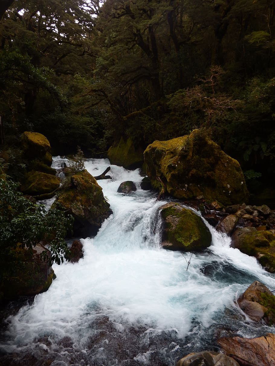 body of water near trees, nature, outdoors, river, stream, new zealand, HD wallpaper