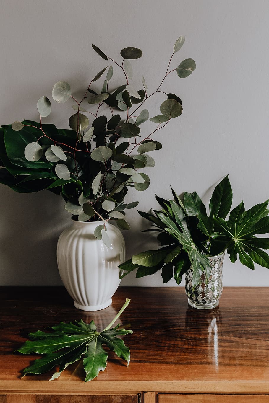 Aralia Leaves, green, leaf, greenery, plant, table, indoors, plant part HD wallpaper