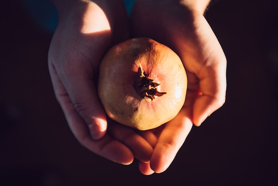 round yellow fruit, hand, human hand, human body part, food, food and drink HD wallpaper