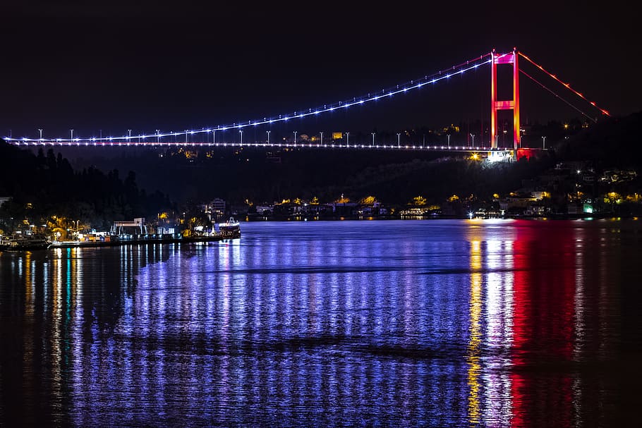 red and blue lighted bridge during night, building, suspension bridge