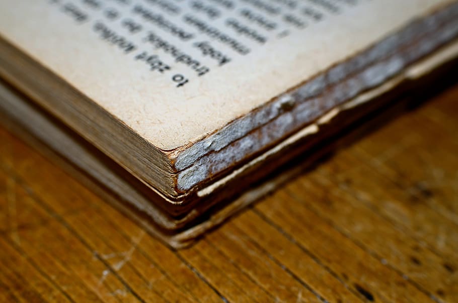 book, macro, closeup, old, paper, magnifier, text, document HD wallpaper