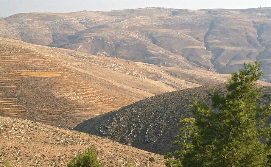 jordan, mount nebo, hill side, mount nabo, scenics - nature, HD wallpaper
