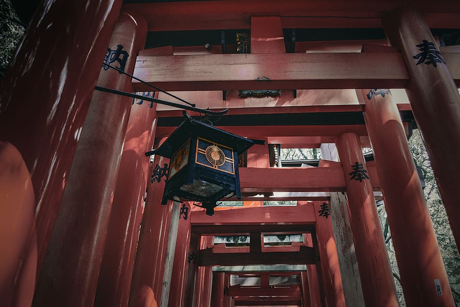 architecture, building, gate, torii, temple, shrine, worship HD wallpaper