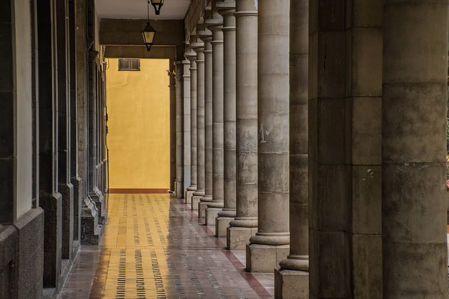 columns, architecture, architectural column, built structure HD wallpaper