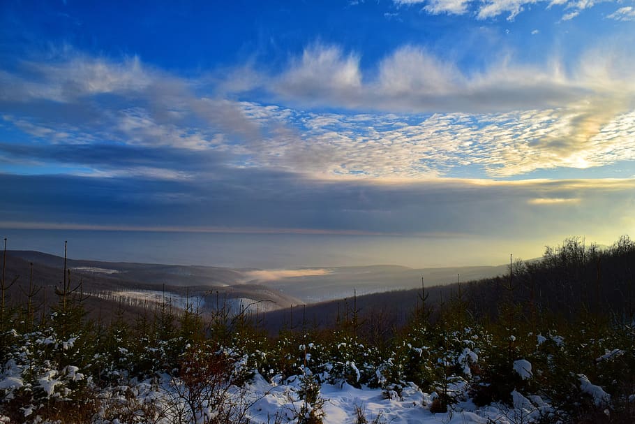 cloud, snow, winter, sky, skyline, trees, cloud - sky, beauty in nature HD wallpaper