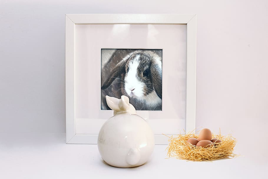 easter, easter image, hare, easter bunny, easter nest, encounter HD wallpaper