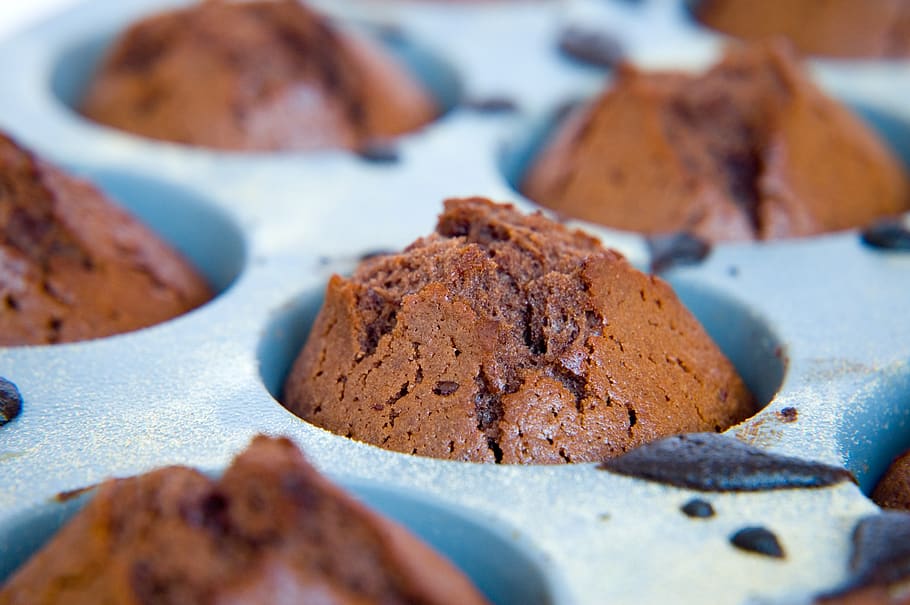 Chocolate Muffins in Tray, baked, baking, brown, cake, close-up HD wallpaper