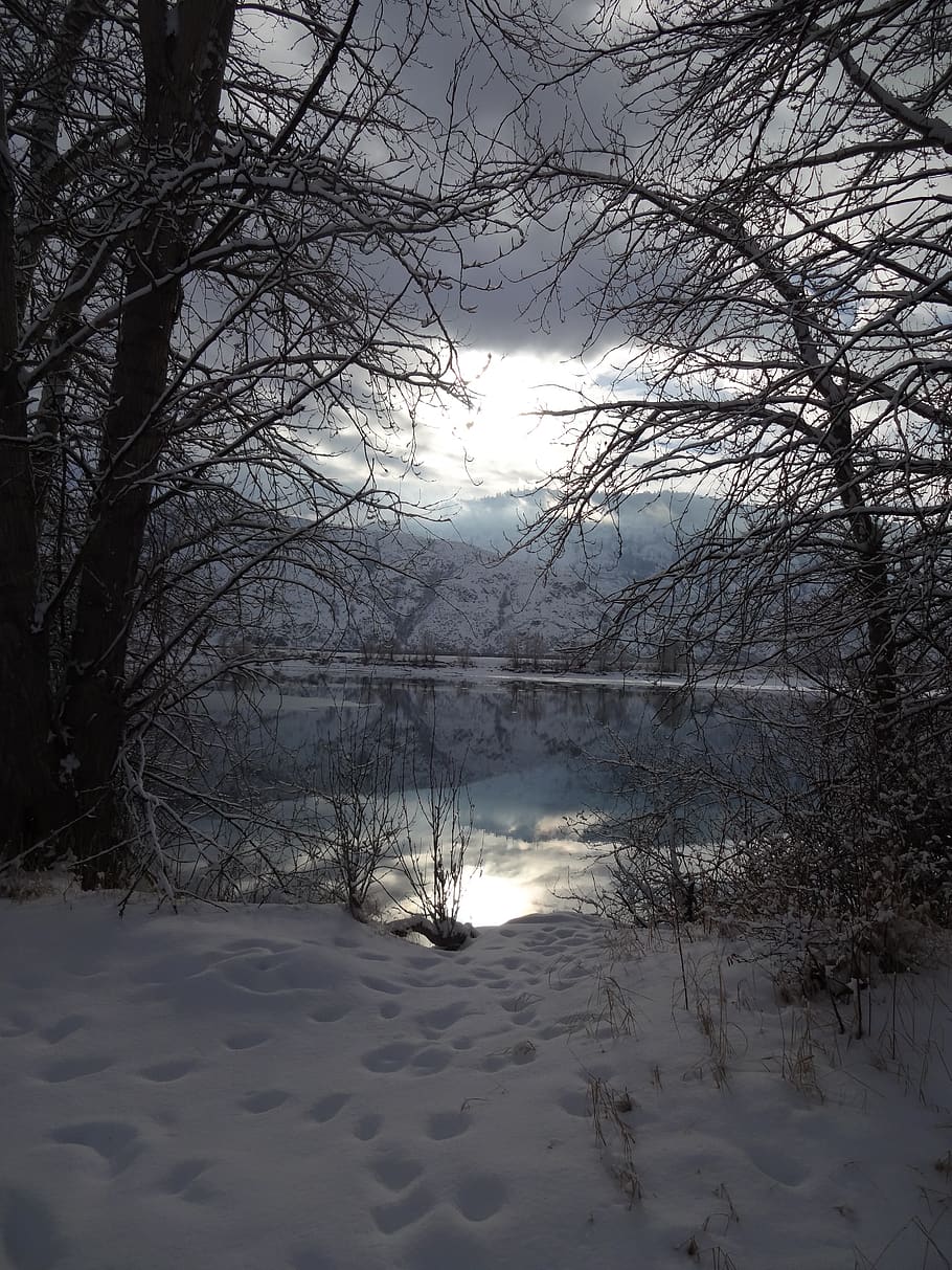 trees, sky, sun, nature, atmosphere, winter, lake, british columbia HD wallpaper