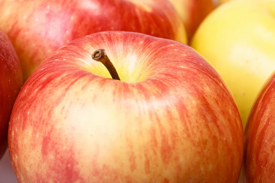 apple, autumn, background, color, crop, cut, eating, farm, food HD wallpaper