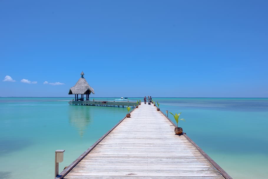 Three People Walking on Gray Wooden Sea Dock, daylight, idyllic HD wallpaper