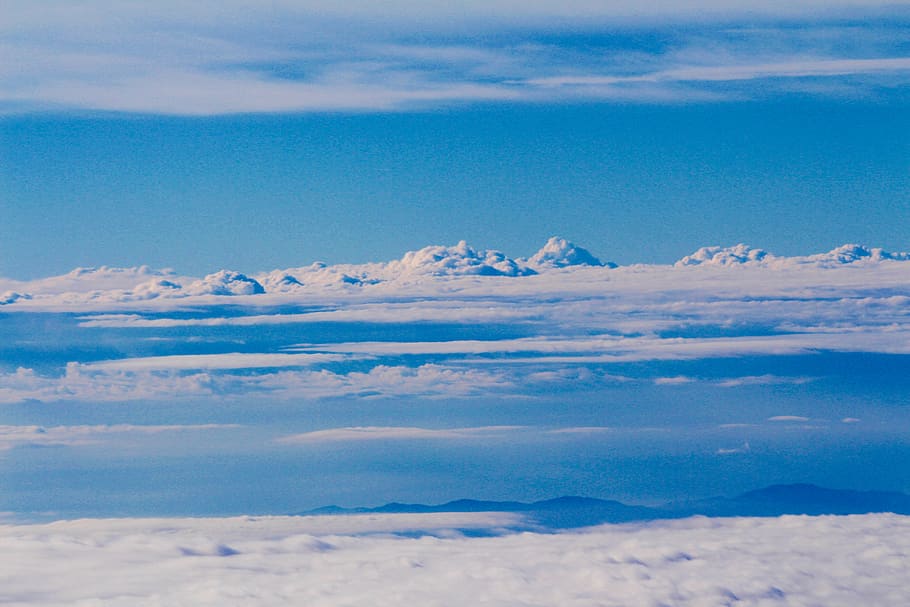 sky, plane, flight, aircraft, aviation, trip, fly, transport, HD wallpaper