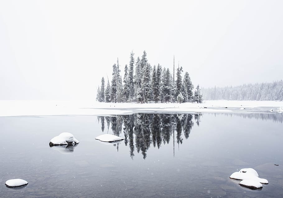 snow, winter, white, cold, weather, ice, nature, travel, adventure HD wallpaper