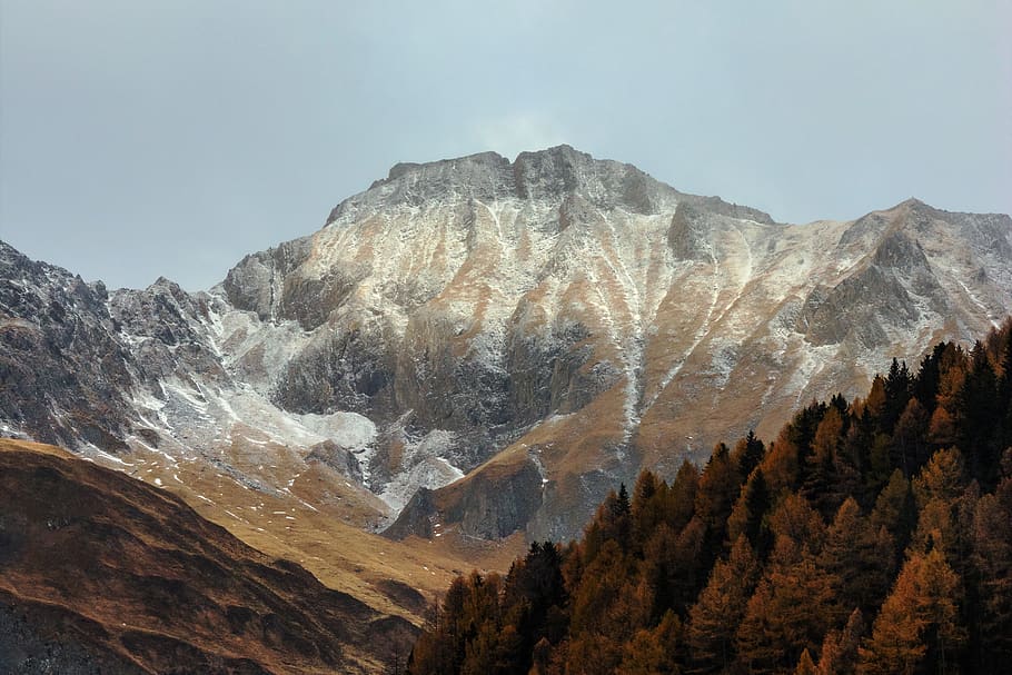 mountain ranges, nature, crest, outdoors, tree, forest, snow HD wallpaper