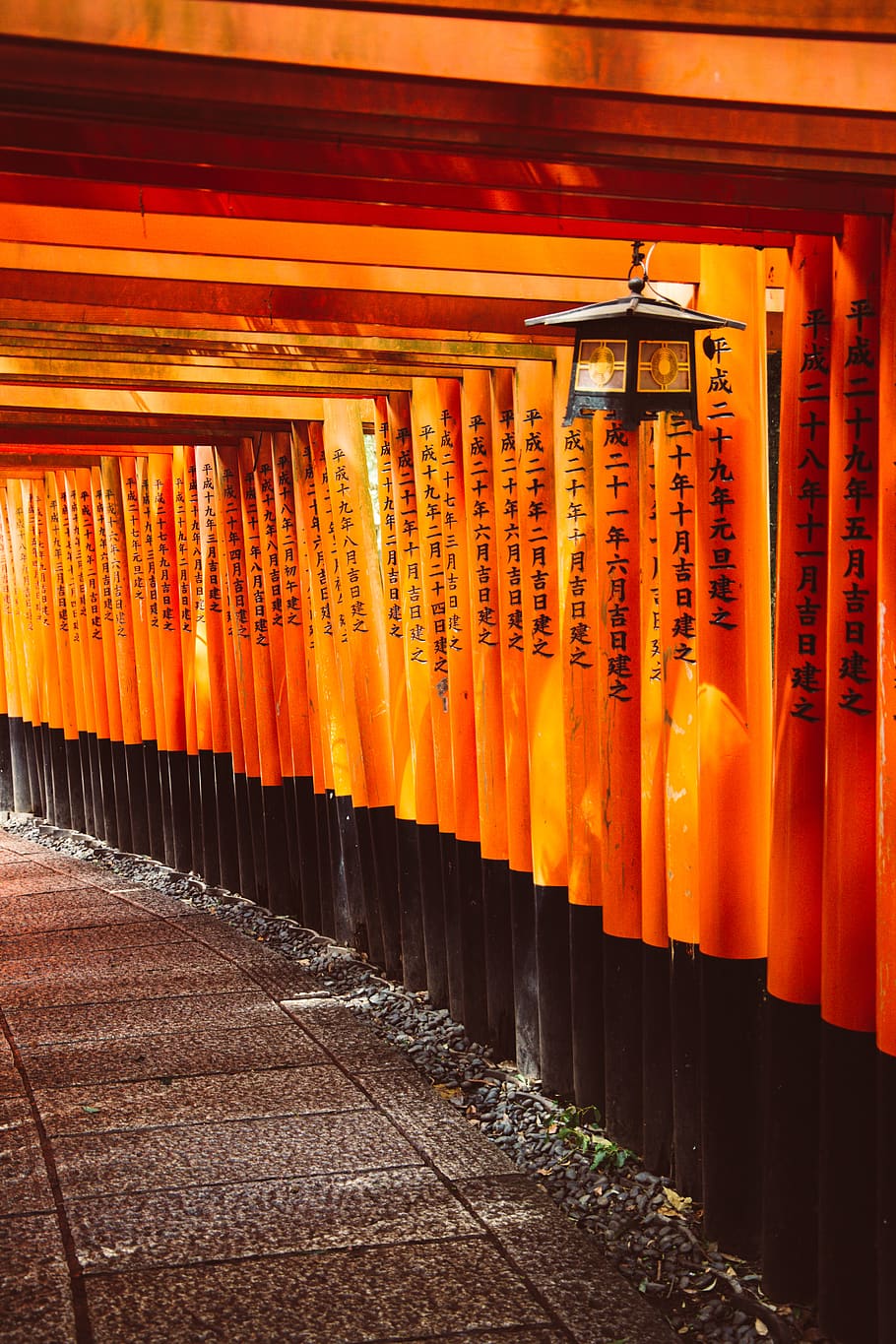 orange tori gates, in a row, orange color, non-western script HD wallpaper