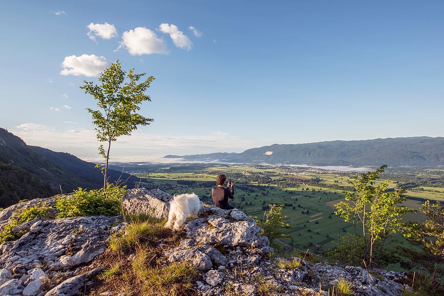 nature, landscape, trees, field, rocks, people, man, dog, animal HD wallpaper
