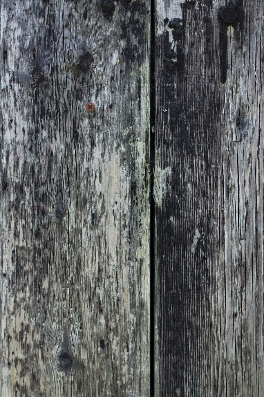texture, wood, textured, wood - material, full frame, backgrounds HD wallpaper