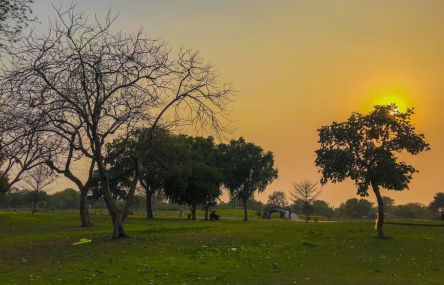 sun, grass, trees, beautiful, awesome, lovely, quite place HD wallpaper