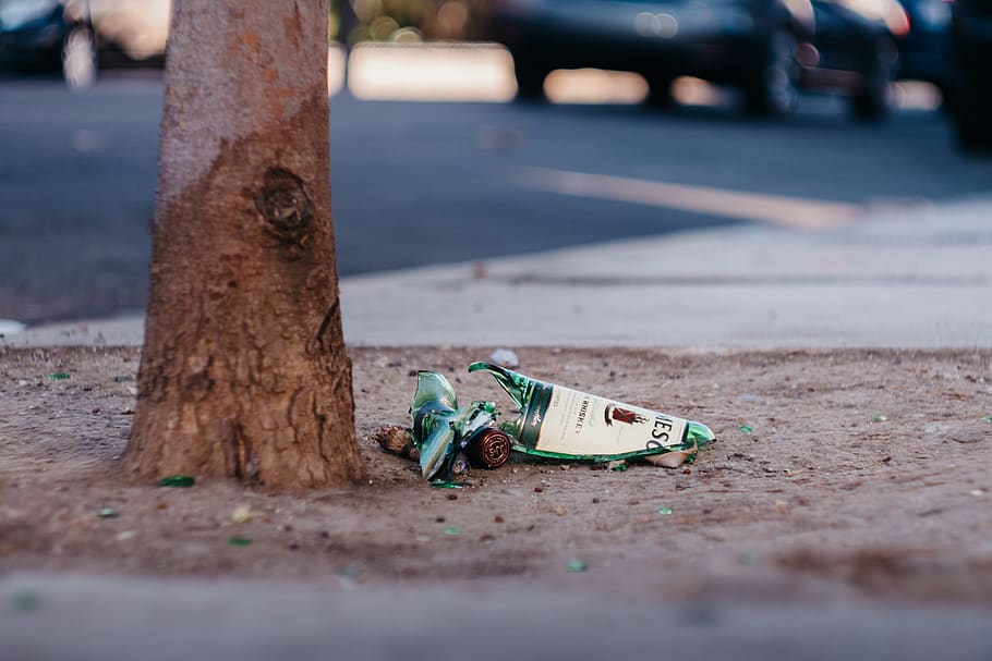 broken glass beside tree, can, aluminium, tin, united states HD wallpaper