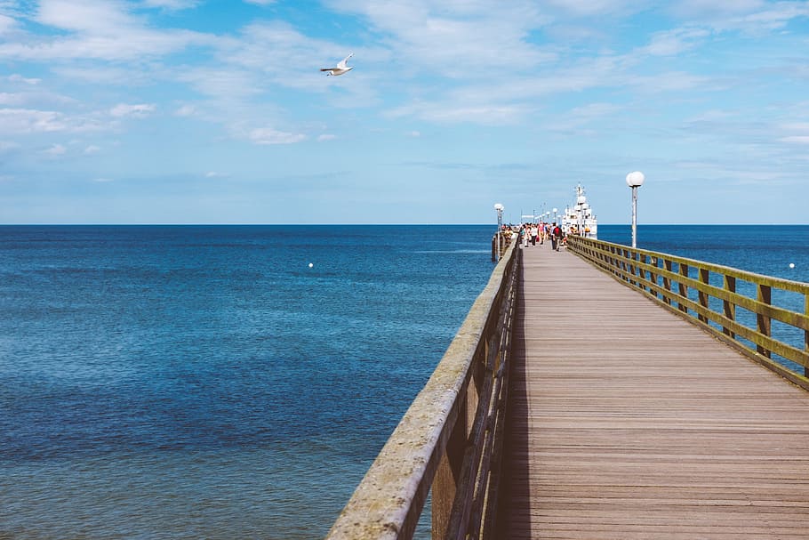 Sea pier, baltic, biloxi, bird, blue, bridge, clear, direction HD wallpaper