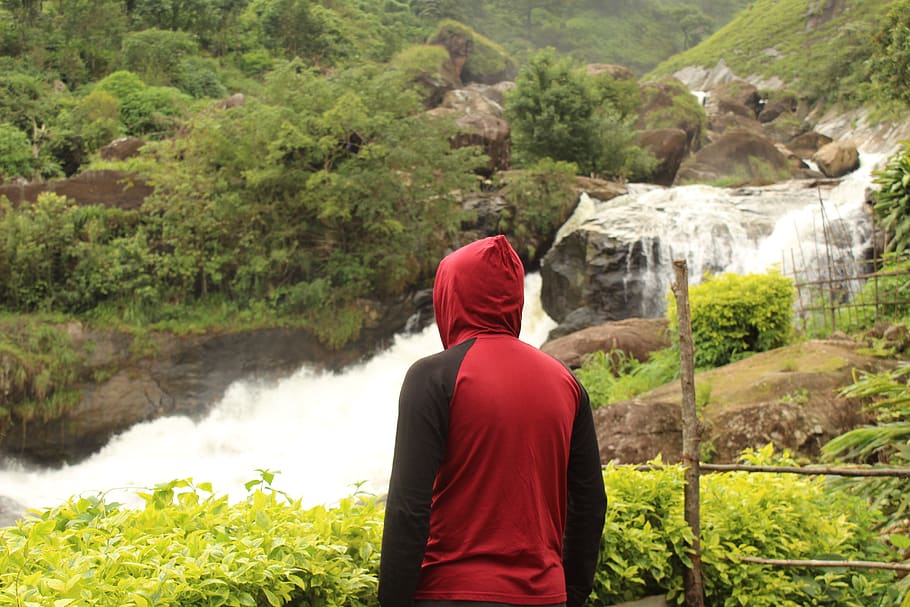 india, munnar, one person, rear view, plant, tree, adult, nature HD wallpaper