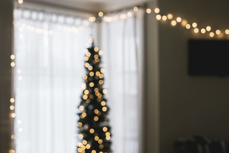 green Christmas tree with string lights turned on, illuminated HD wallpaper
