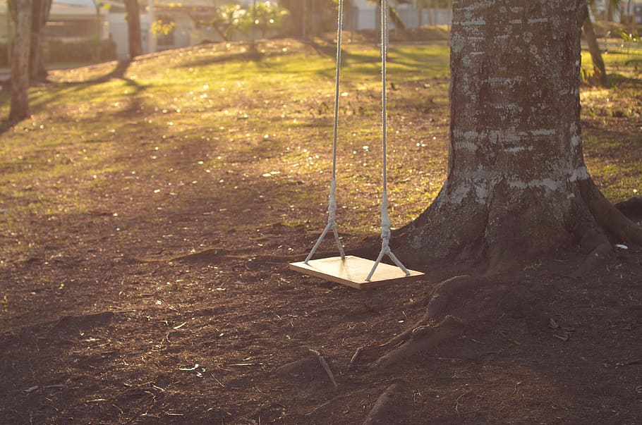 brown wooden swing under tree at daytime, park, garden, sunlight, HD wallpaper