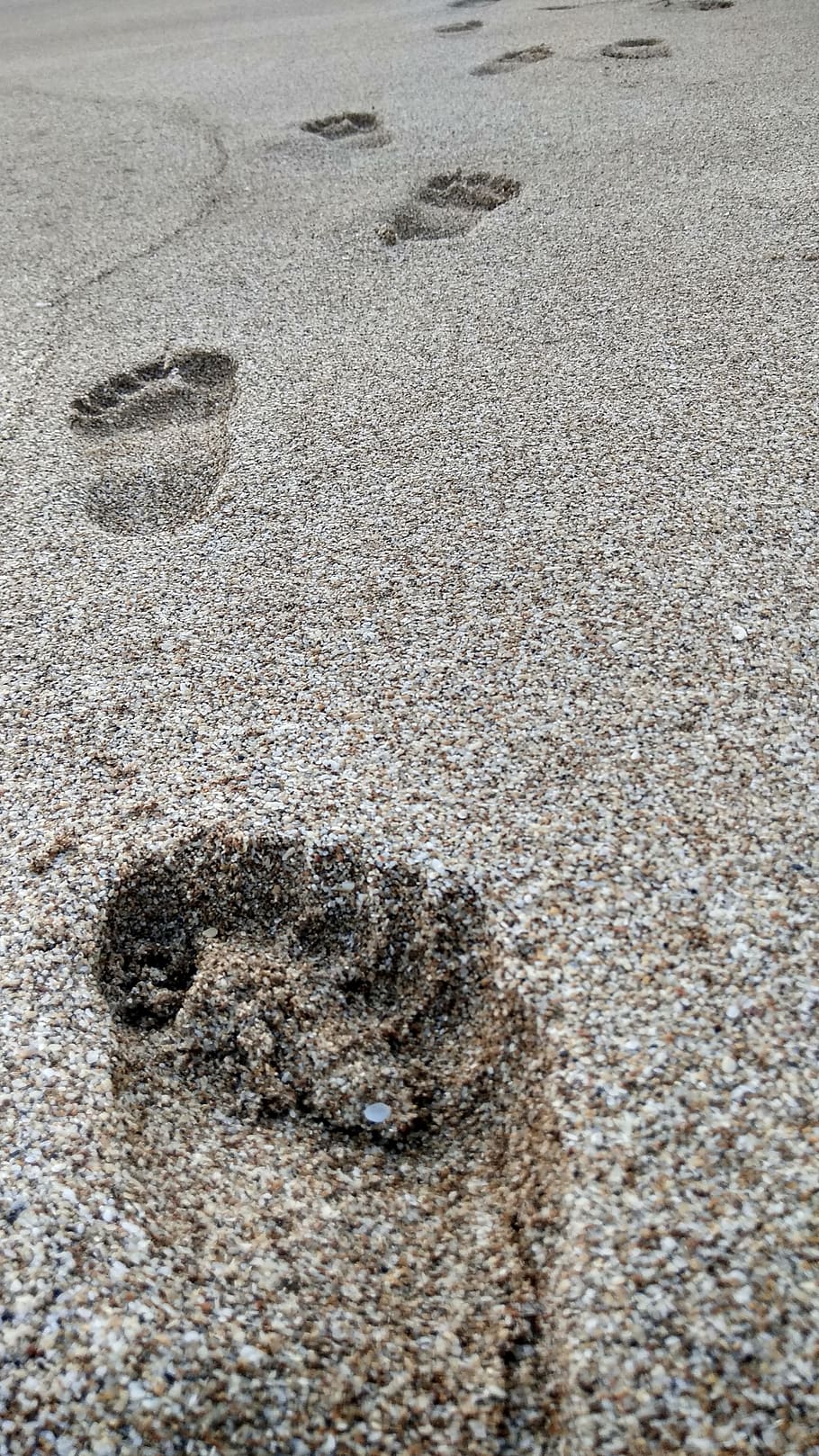 footprints, beach, sand, nature, footstep, barefoot, walk, ocean HD wallpaper