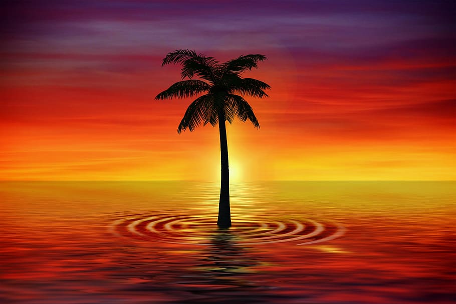 sunset, dusk, abstract, evening, sky, wave, flood, reflection HD wallpaper