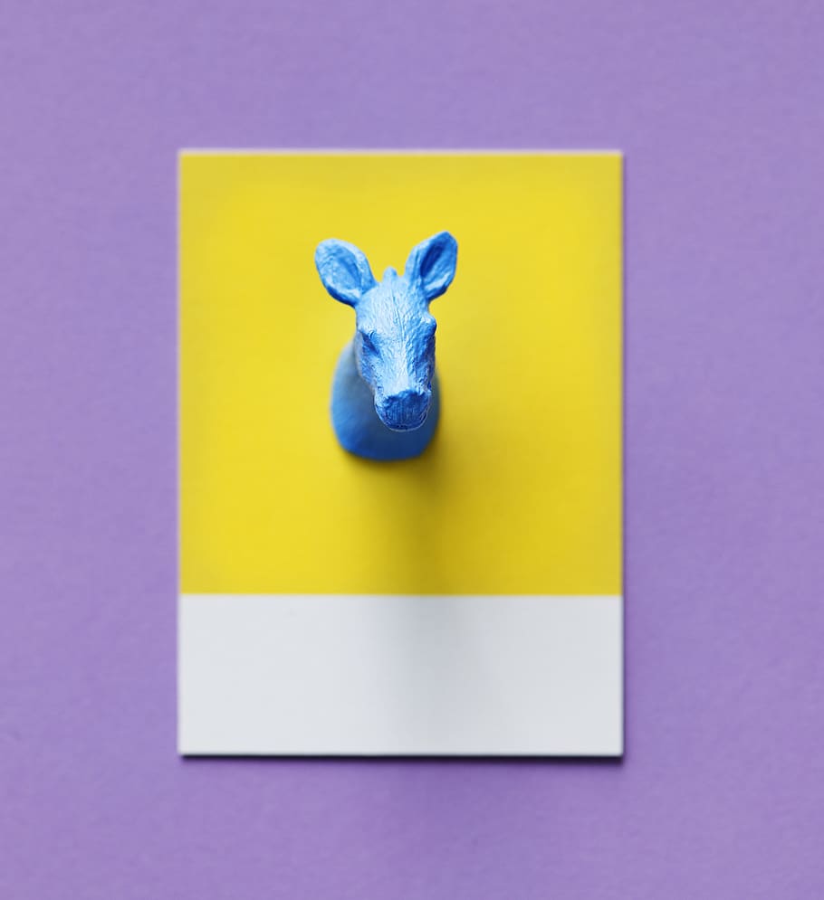 abstract, animal, art, background, blue, calf, card, colorful, HD wallpaper