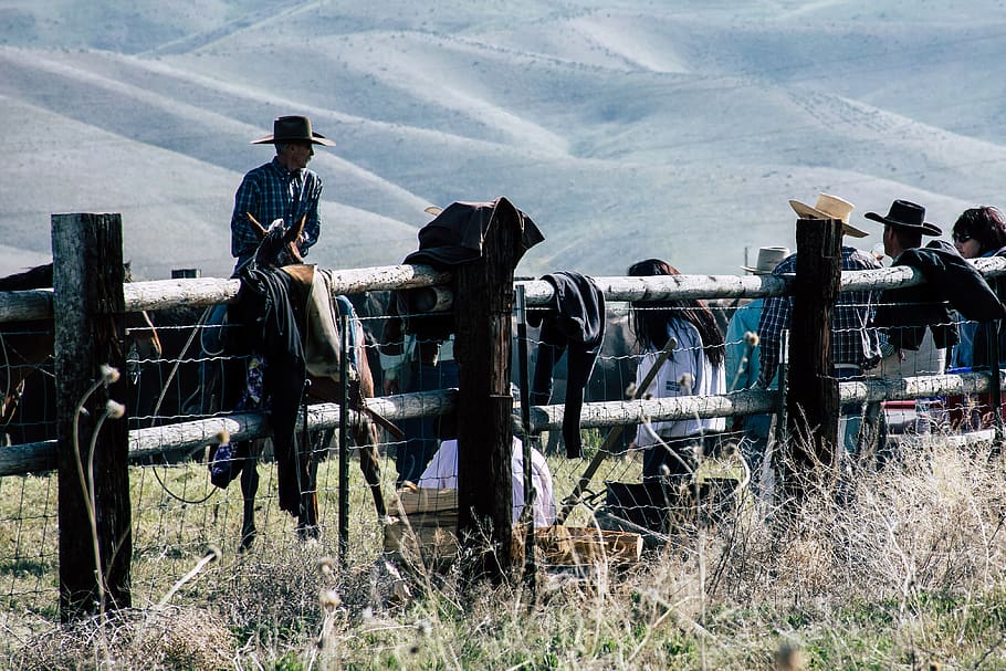 Cowboys Leaning on Brown Fence, animals, cowgirl, daylight, daytime