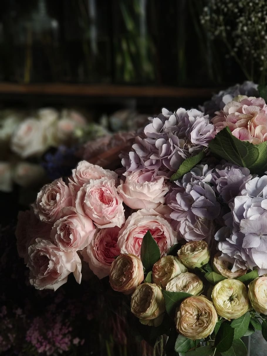 assorted flowers in selective focus photography, flowering plant HD wallpaper