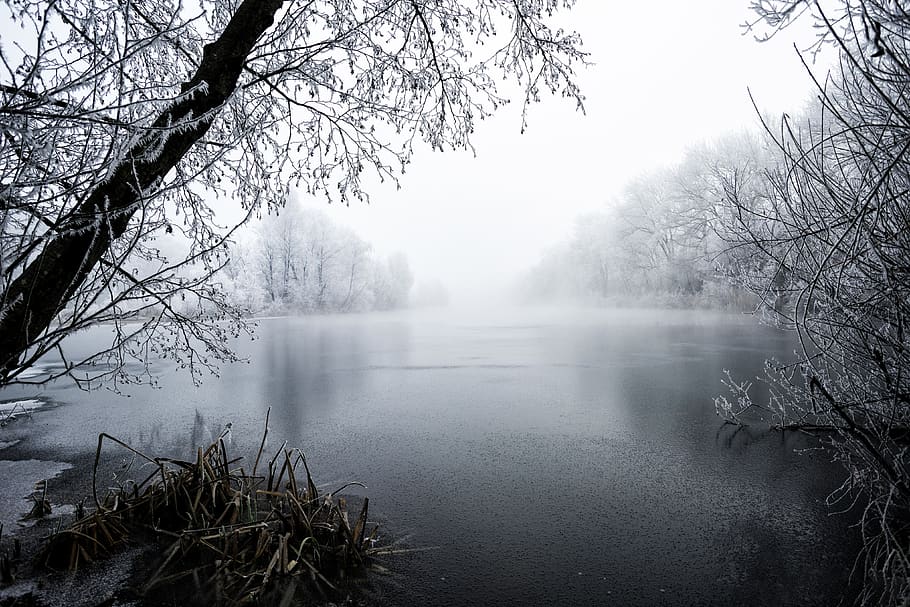 landscape, ice, nature, forest, clouds, lighting, sky, mood HD wallpaper