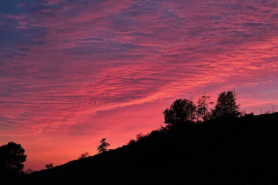 nature, outdoors, dawn, sunset, dusk, sky, red sky, silhouette HD wallpaper