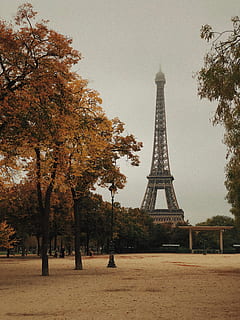 Eiffel Tower, Paris, france, building, bell tower, architecture HD wallpaper