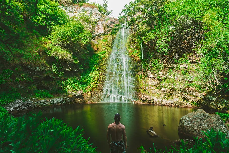 waterfall, green, grass, rocks, moss, trees, plant, nature HD wallpaper