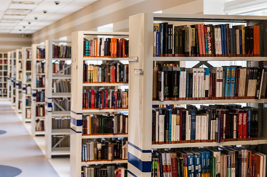 Row of Books in Shelf, bookcase, bookshelves, bookstore, college