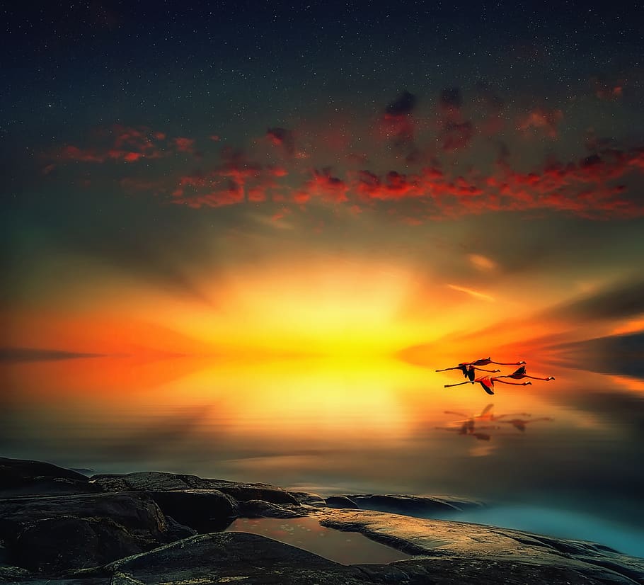 sea, sunset, reflection, tranquility, landscape, sky, air vehicle, HD wallpaper
