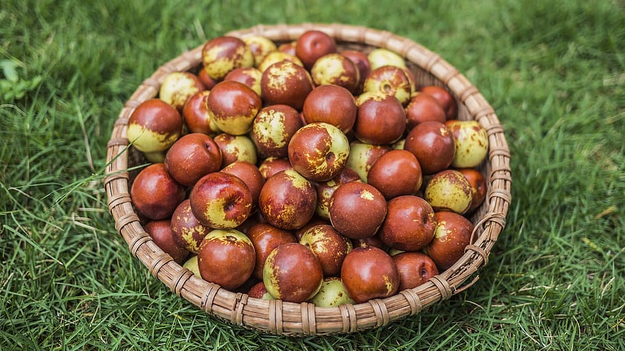 brown and green fruits on brown wicker basket, plant, food, vegetable, HD wallpaper