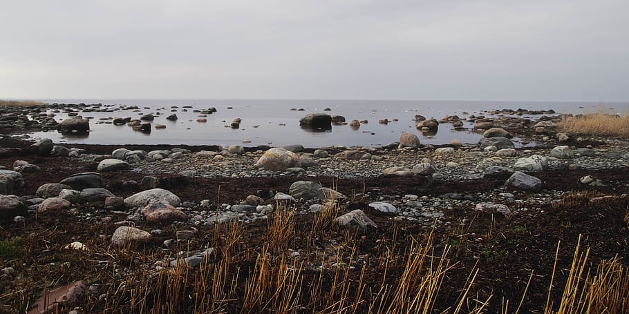 View of Seashore, beach, coastal, dawn, daylight, landscape, low tide HD wallpaper
