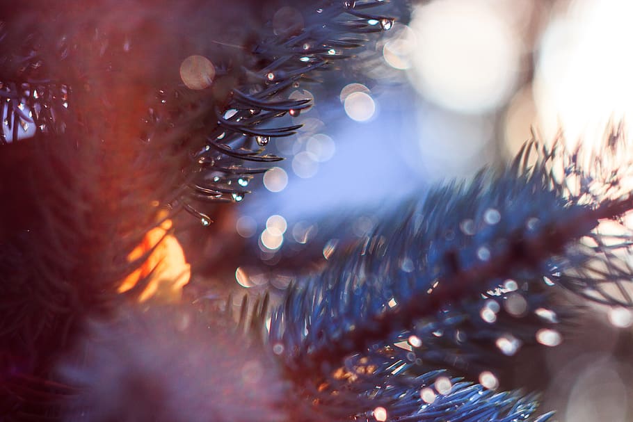 russia, tambov, selective focus, water, close-up, christmas HD wallpaper