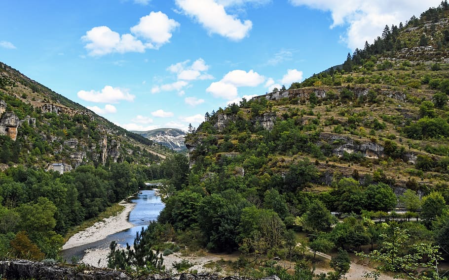 landscape, roche, river, tree, throat, water courses, the gorges of the tarn HD wallpaper