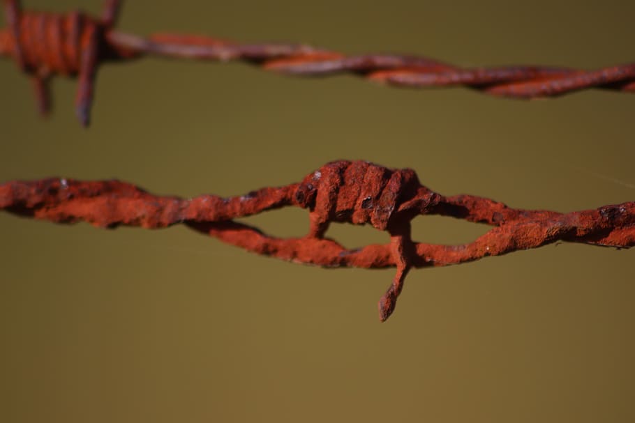 barbed wire, rust, closing, metal, old, field, fields, pastures HD wallpaper