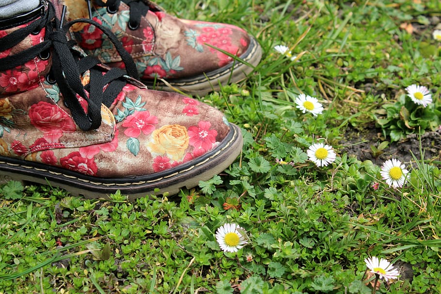 grass, meadow, daisies, spring, stomp, green, flowers, nature, HD wallpaper