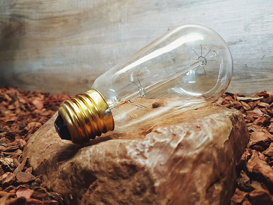 Clear Glass Light Bulb, close-up, rock, glass - material, transparent HD wallpaper