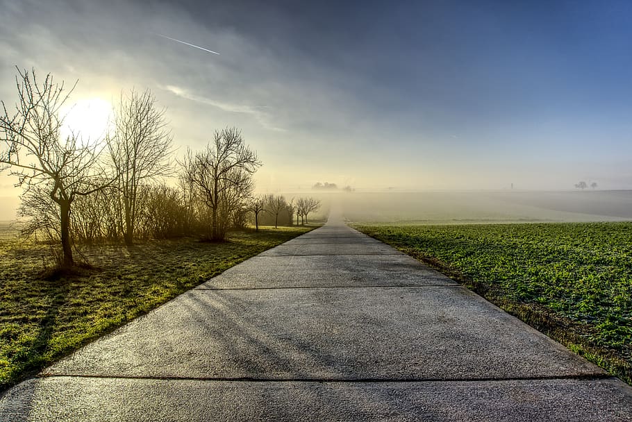 sunrise, backlighting, road, away, reflection, tree, fog, mood HD wallpaper