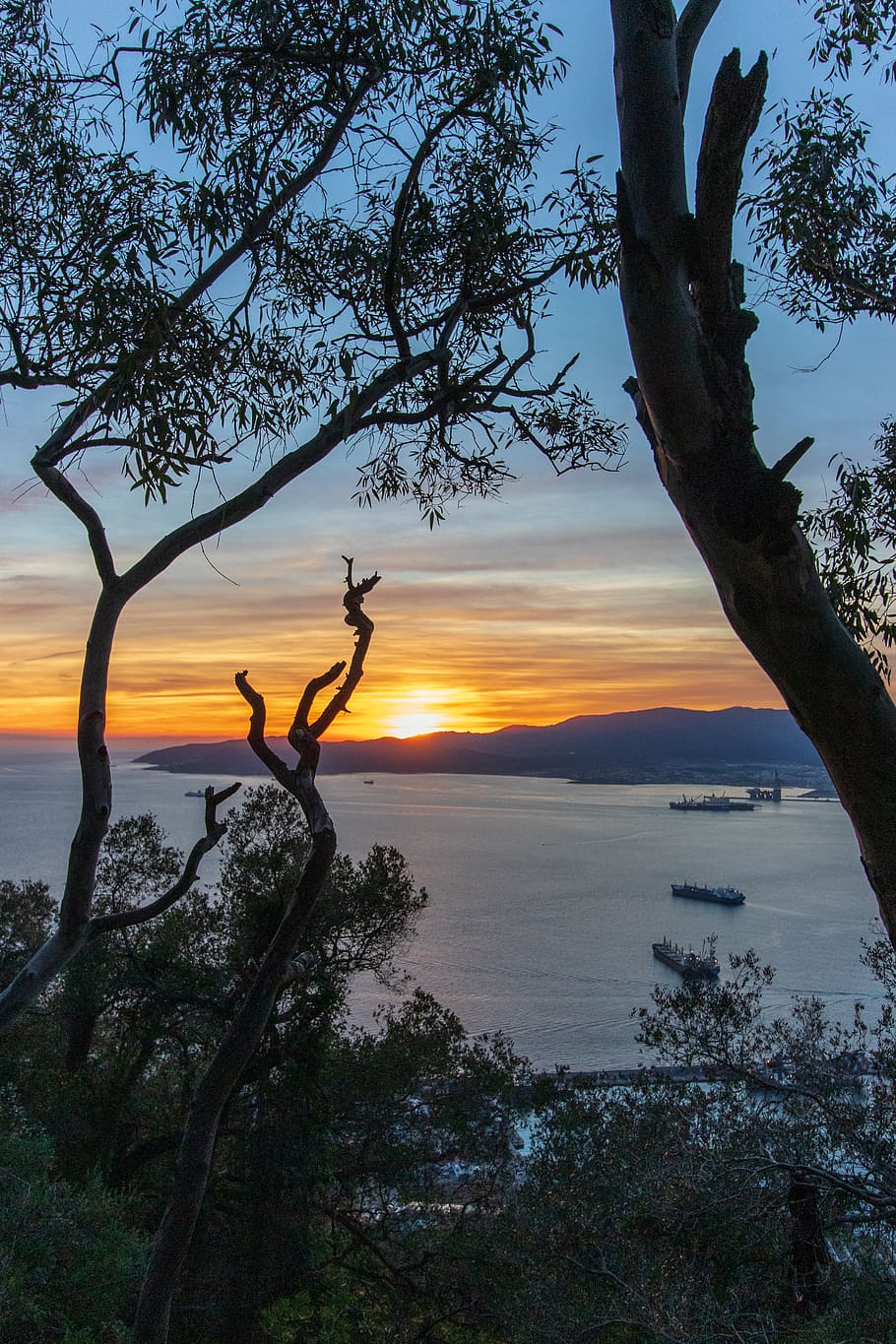 gibraltar, sunset, gibraltar sunset, sky, plant, tree, beauty in nature HD wallpaper