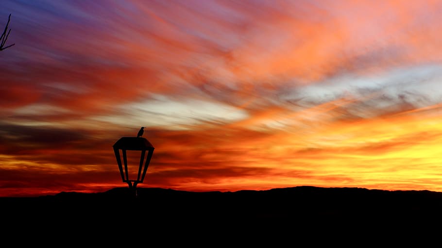 chile, farellones, sunset, mountains, bird, color, lamp, nature HD wallpaper